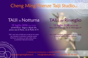 taiji-del-risveglio-e-taiji-in-notturna-2016